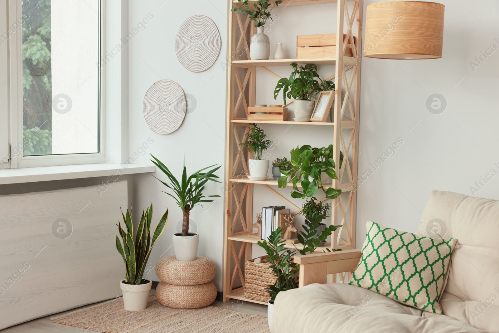 Photo of Stylish room interior with beautiful house plants. Home design idea