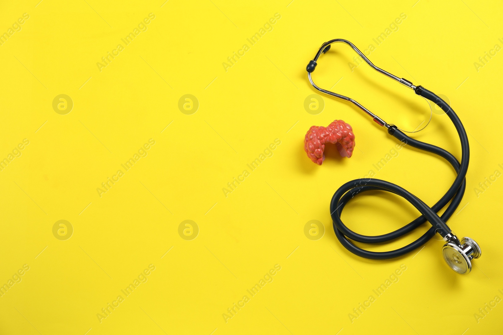 Photo of Endocrinology. Stethoscope and model of thyroid gland on yellow background, above view. Space for text