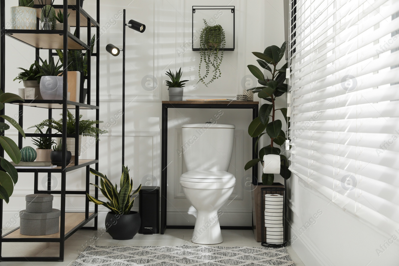 Photo of Stylish bathroom interior with toilet bowl and many beautiful houseplants