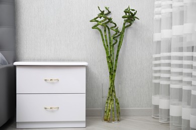 Photo of Vase with beautiful green bamboo stems on floor indoors