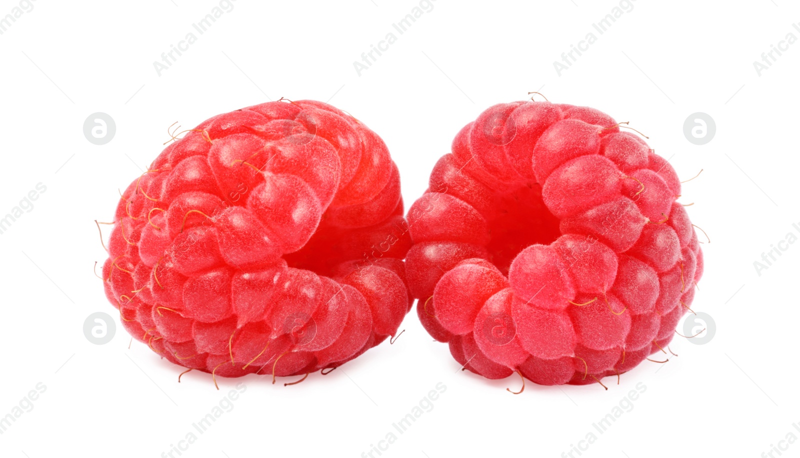 Photo of Two tasty ripe raspberries isolated on white