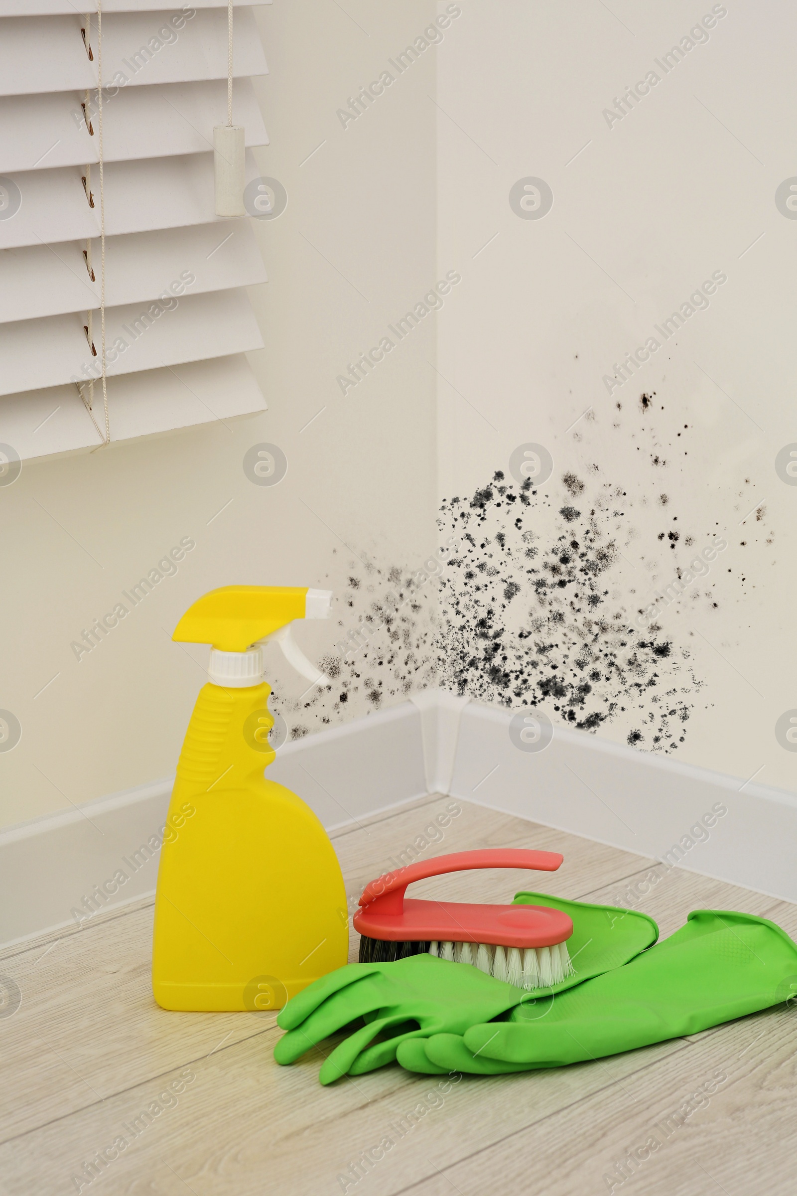 Image of Mold remover spray bottle, rubber gloves and brush on floor near affected walls in room