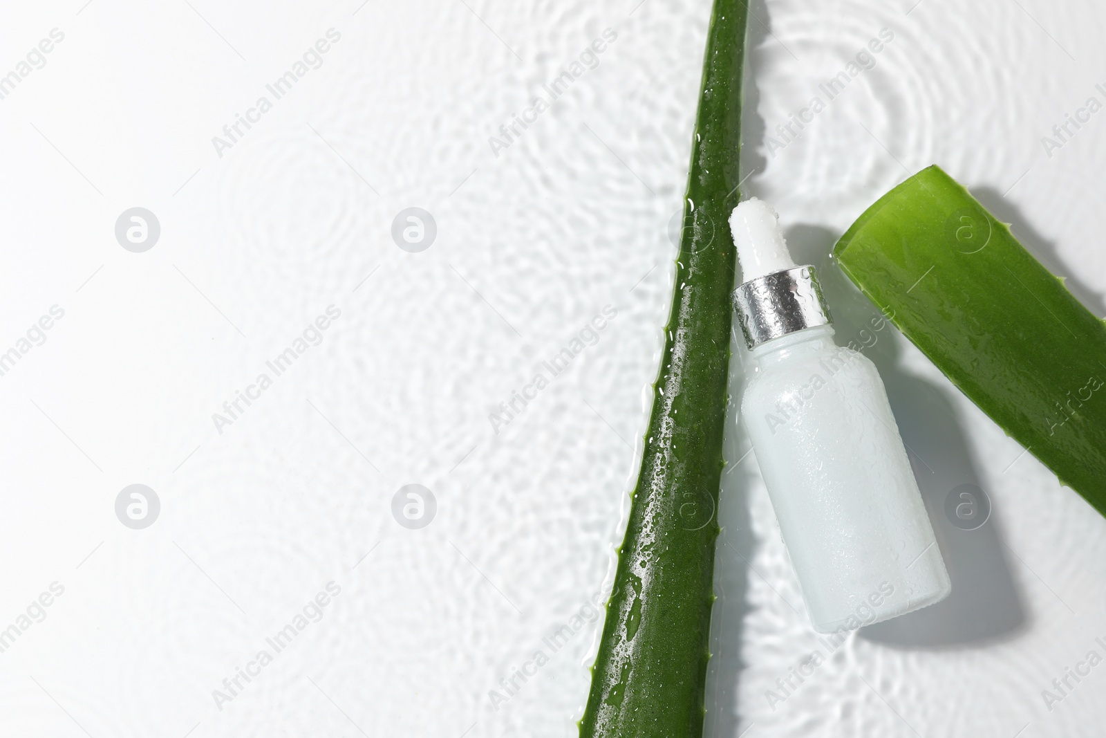 Photo of Bottle of cosmetic product and aloe leaves in water on white background, flat lay. Space for text