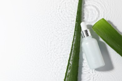 Bottle of cosmetic product and aloe leaves in water on white background, flat lay. Space for text