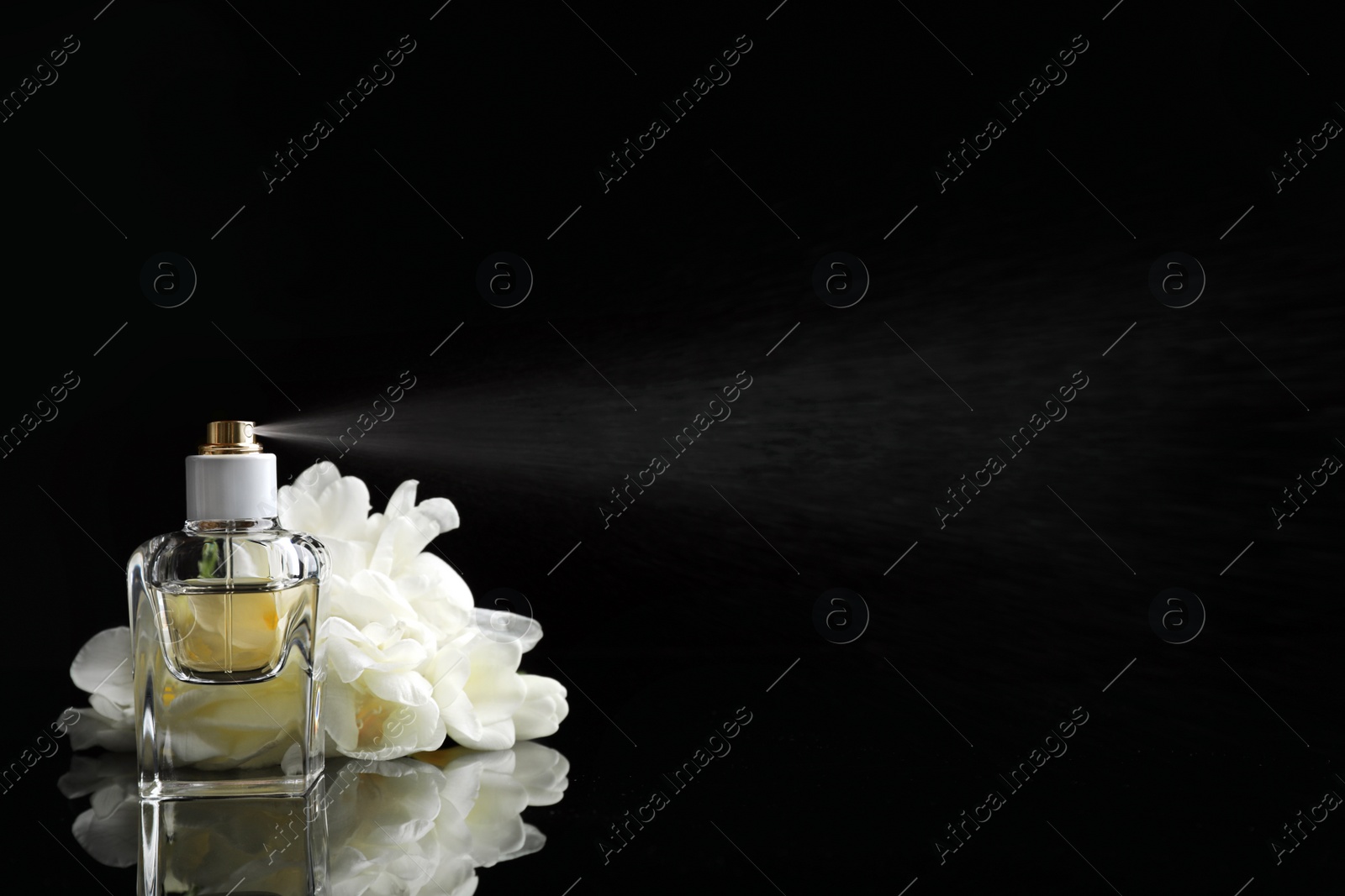 Photo of Spraying bottle of perfume and flowers on black background