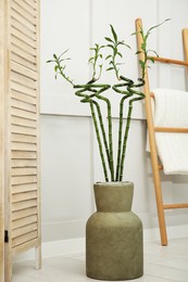 Photo of Vase with green bamboo stems, folding screen and ladder on floor in room. Interior design