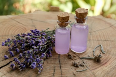 Photo of Beautiful lavender flowers and bottles of essential oil on wooden stump, closeup