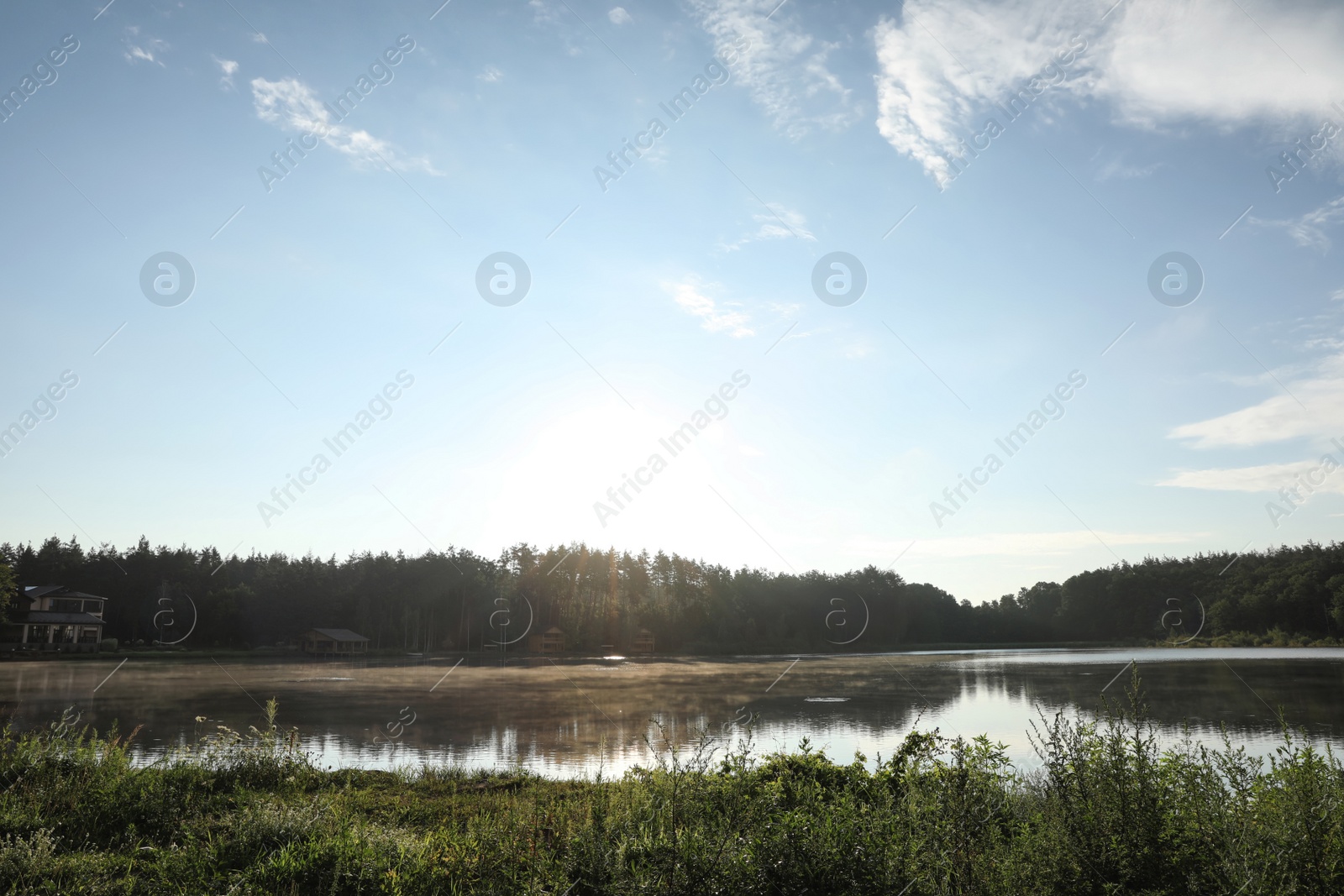 Photo of Beautiful landscape with forest and houses near lake. Camping season