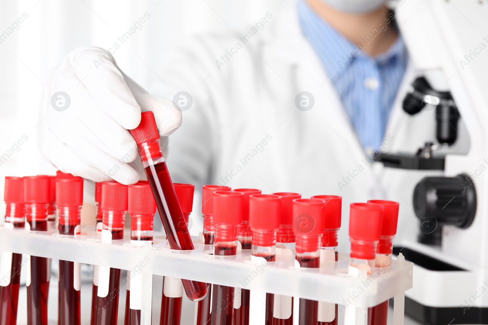 Photo of Scientist taking test tube with blood sample from rack in laboratory, closeup. Virus research