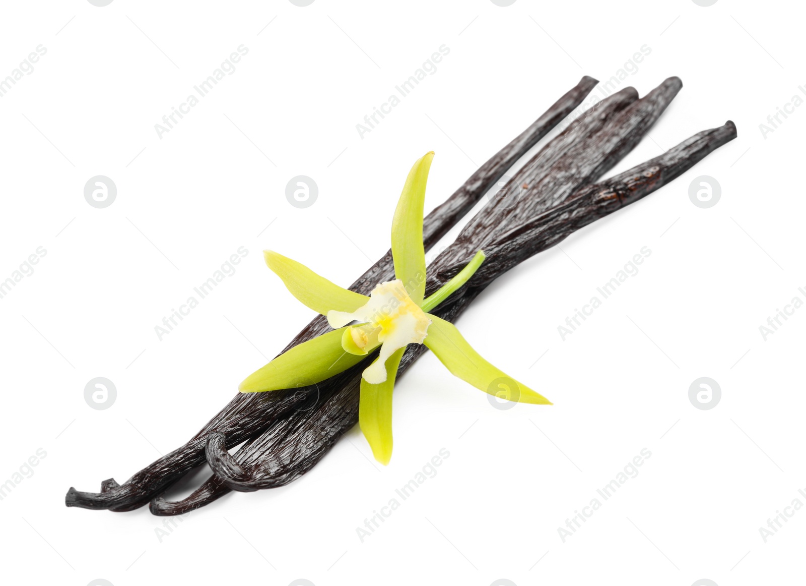 Photo of Vanilla pods and beautiful flower isolated on white