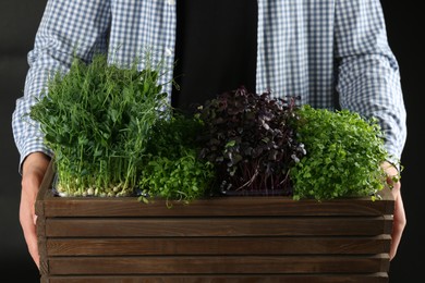 Man with wooden crate of different fresh microgreens on black background, closeup