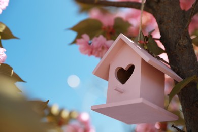 Pink bird house with heart shaped hole hanging on tree branch outdoors. Space for text