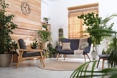 Photo of Comfortable furniture and beautiful houseplants in room. Lounge are interior