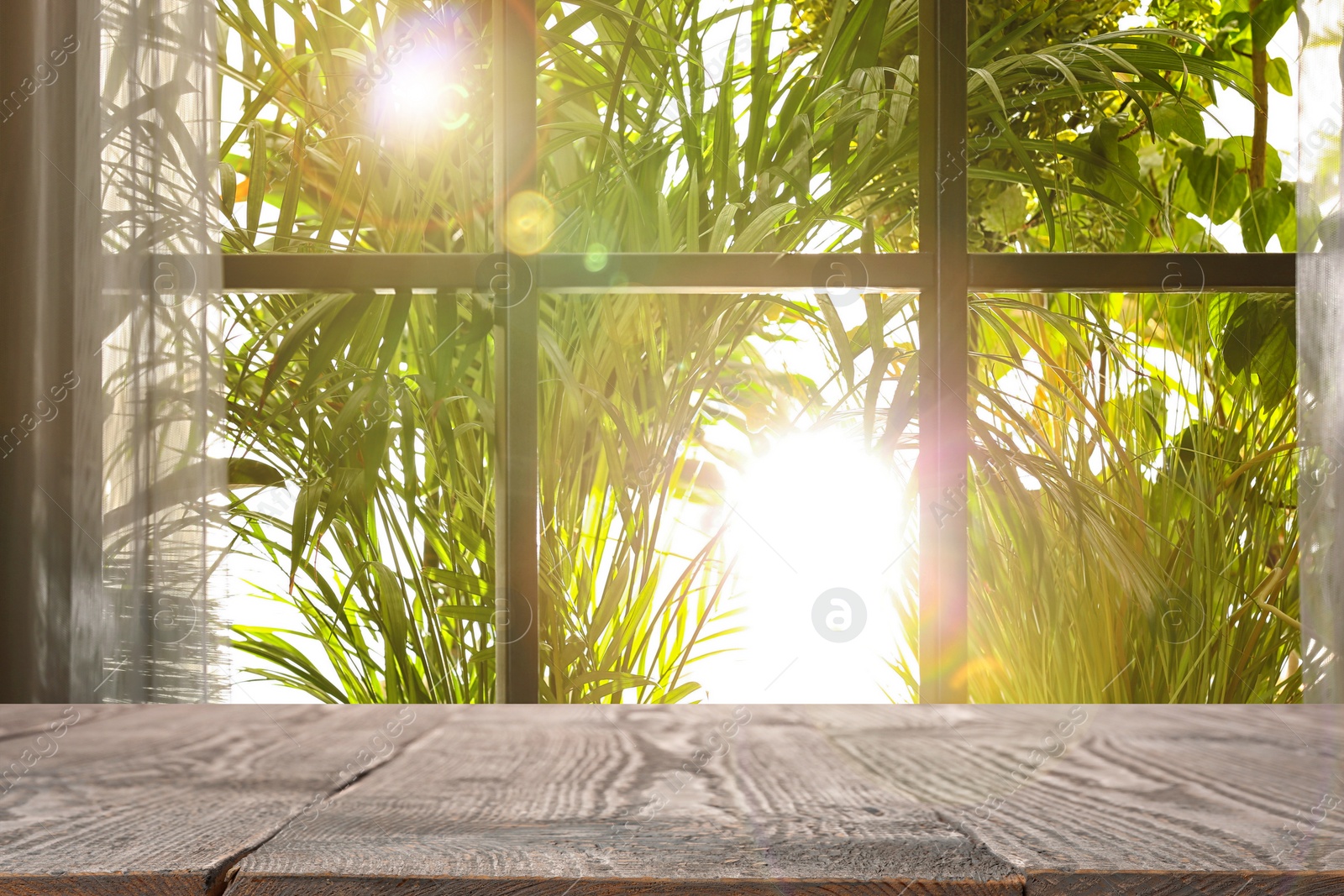 Image of Wooden table and view through window on garden in morning. Springtime