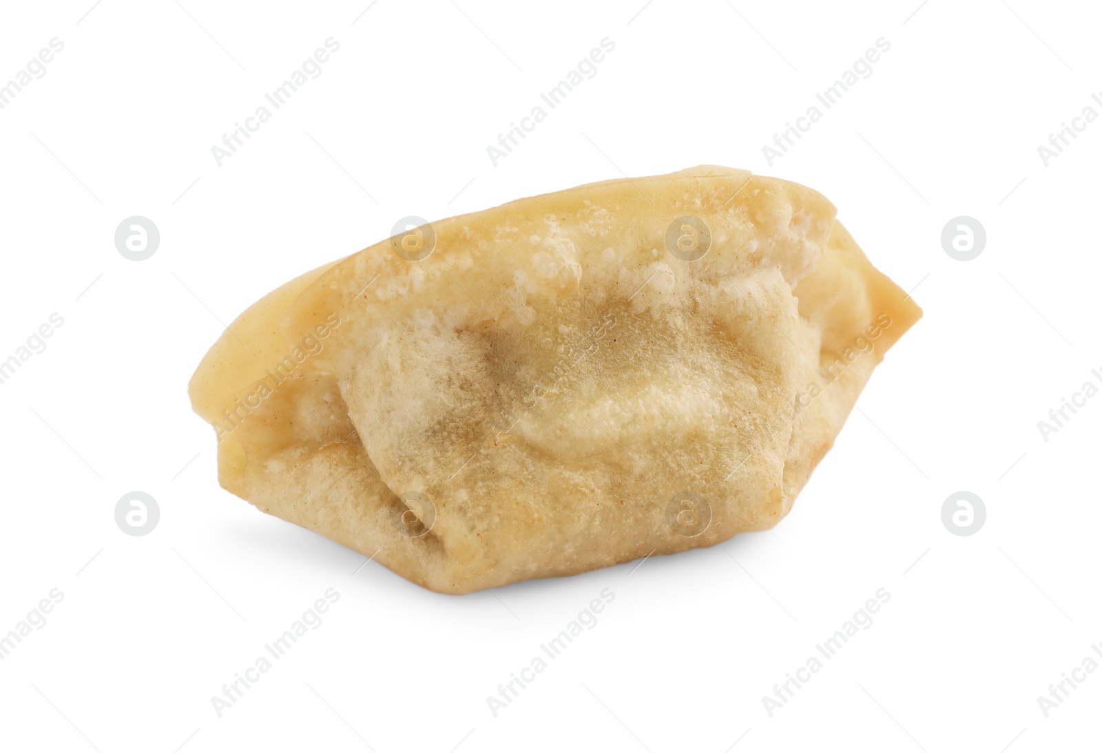 Photo of Delicious gyoza (asian dumpling) isolated on white