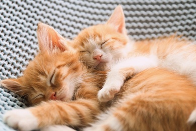 Photo of Cute little red kittens sleeping on light blue blanket