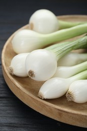 Tray with green spring onions on black wooden table, closeup