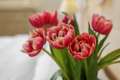 Photo of Bouquet of beautiful pink tulips in room, closeup