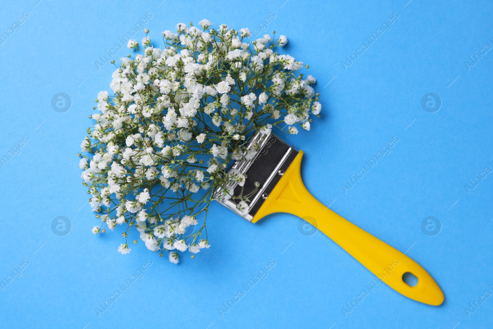 Photo of Creative composition with paint brush and gypsophila flowers on light blue background, top view