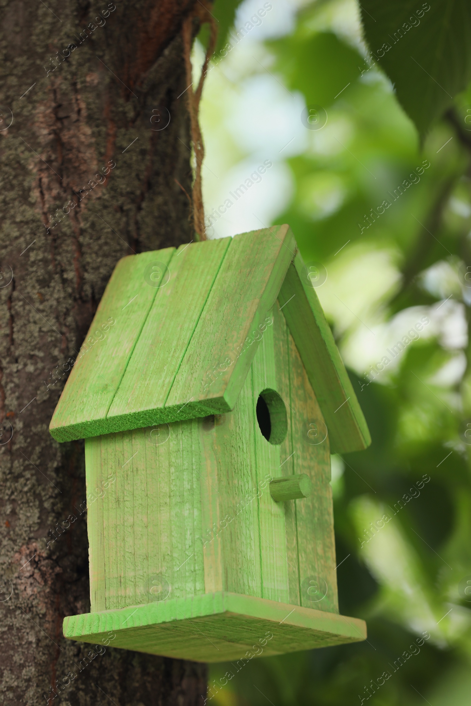 Photo of Green bird house on tree trunk outdoors