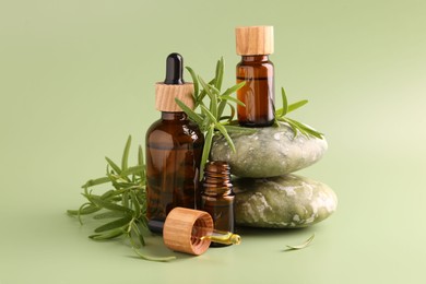 Photo of Aromatic essential oils in bottles, rosemary, pipette and pebble stones on green background