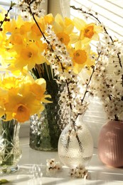 Photo of Yellow daffodils and beautiful branches on windowsill