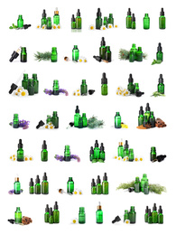 Image of Set with bottles of different essential oils on white background