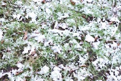 Photo of Green grass covered with snow outdoors. top view
