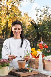 Photo of Woman transplanting aloe seedling into pot in garden