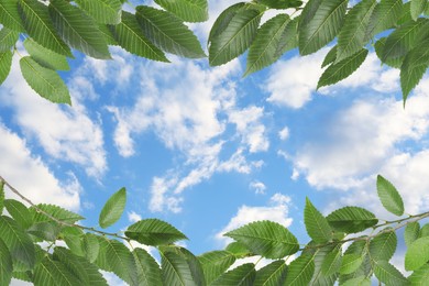Image of Beautiful blue sky with clouds, view through vibrant green leaves