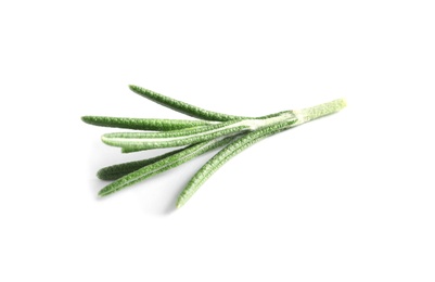 Photo of Fresh rosemary on white background