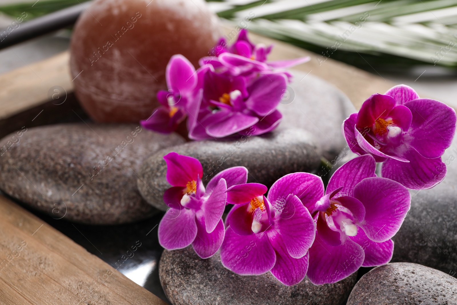 Photo of Spa stones and orchid flowers on tray, closeup