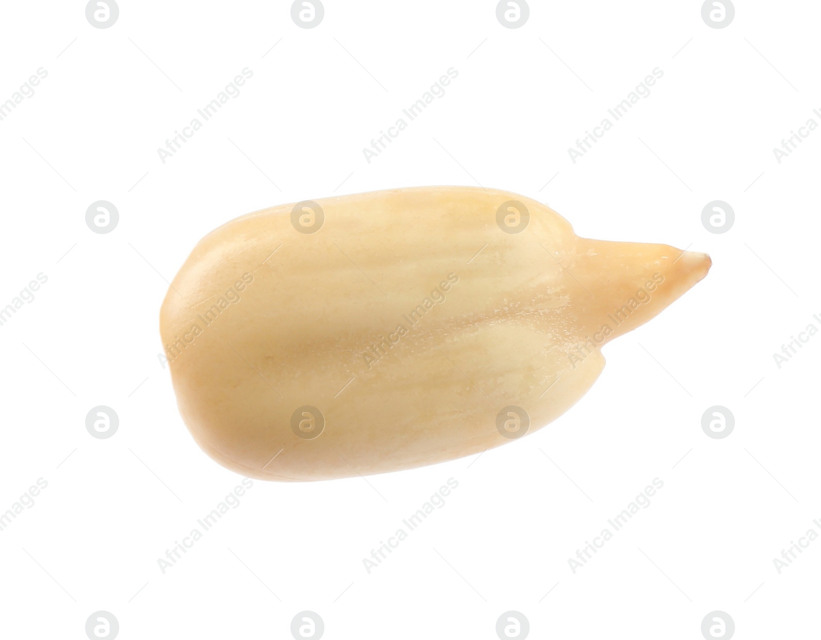 Photo of Raw peeled sunflower seed isolated on white