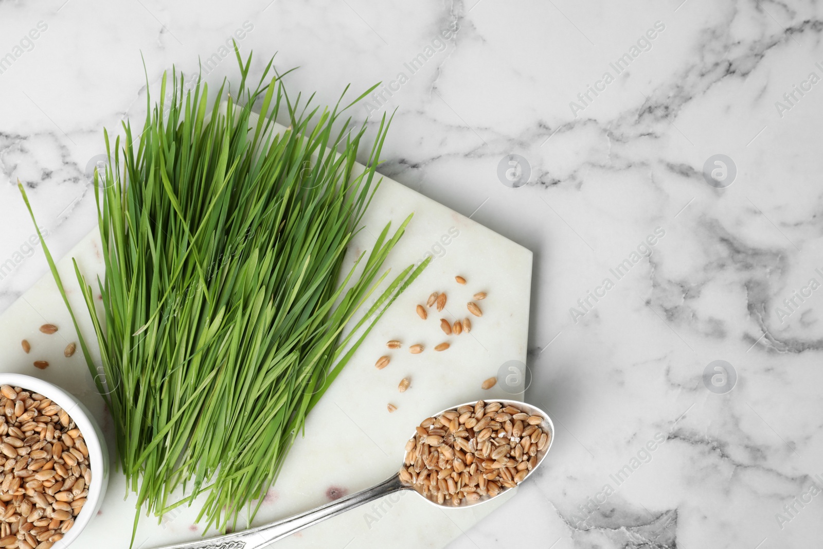 Photo of Flat lay composition with wheat grass and seeds on marble background, space for text