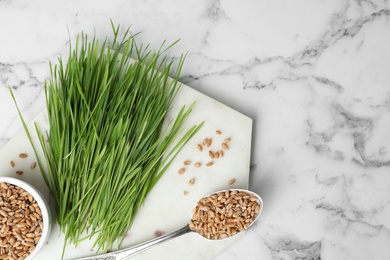 Flat lay composition with wheat grass and seeds on marble background, space for text