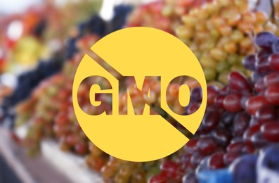 Image of GMO free products. Blurred view of fresh ripe juicy grapes on counter at market