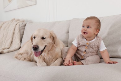 Photo of Cute little baby with adorable dog on sofa at home