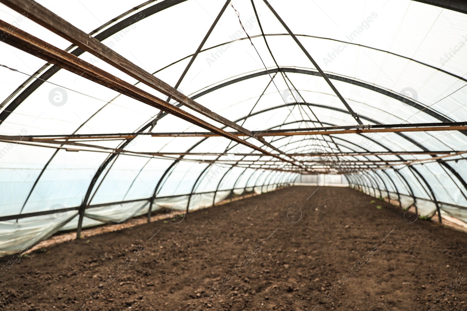 Photo of Large agricultural greenhouse prepared for seed sowing