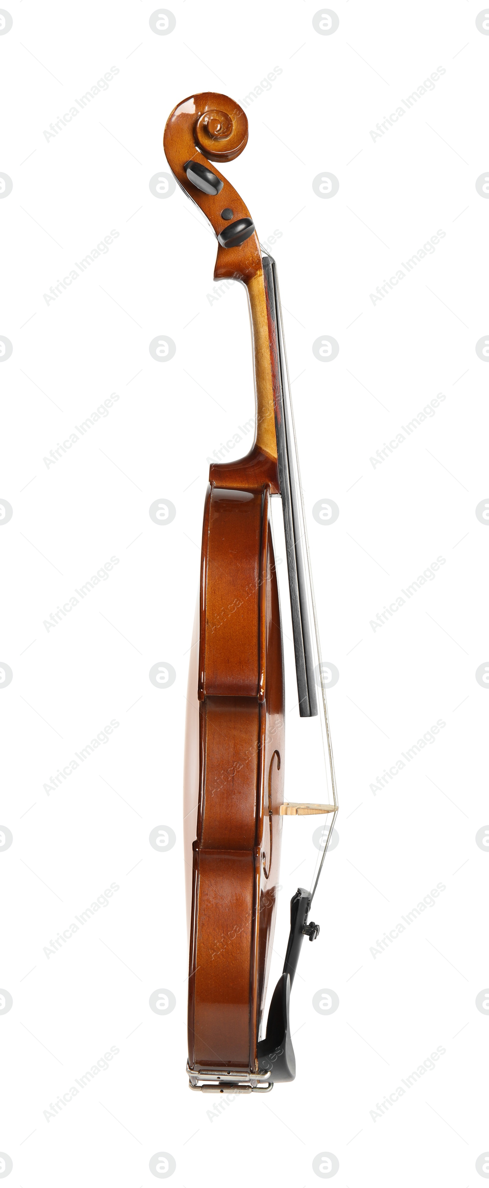Photo of Classic violin isolated on white. Musical instrument