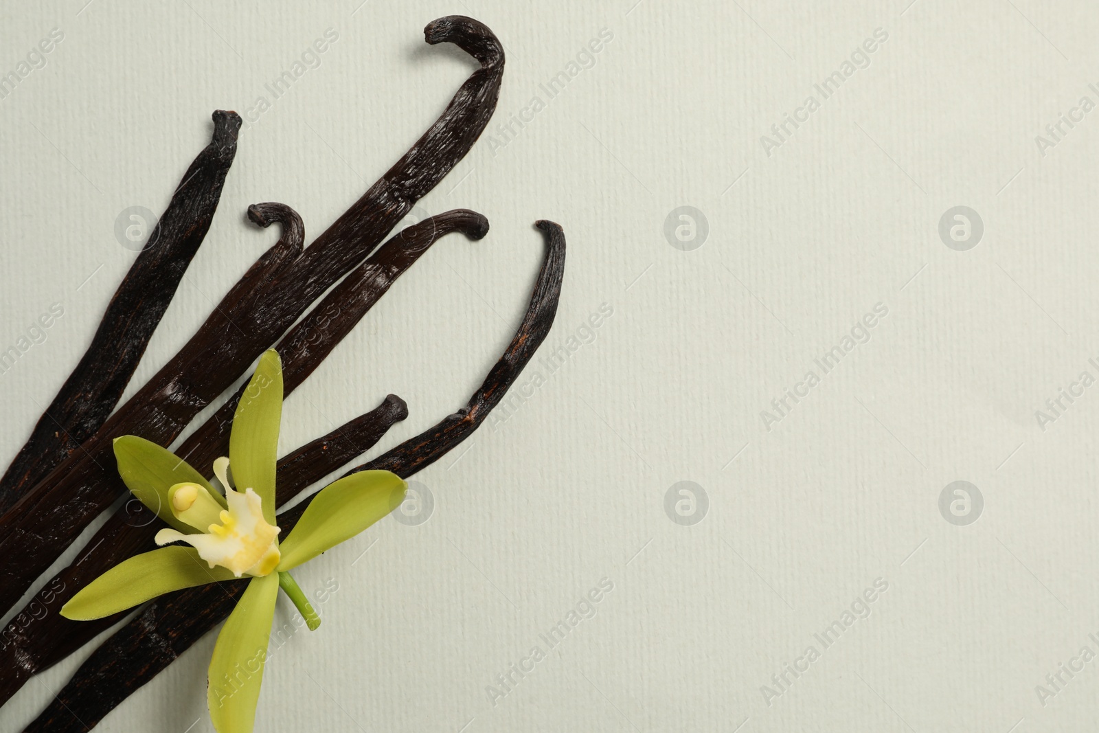 Photo of Vanilla pods and beautiful flower on light grey background, top view. Space for text