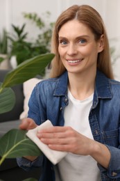 Woman wiping leaves of beautiful houseplant with cloth indoors