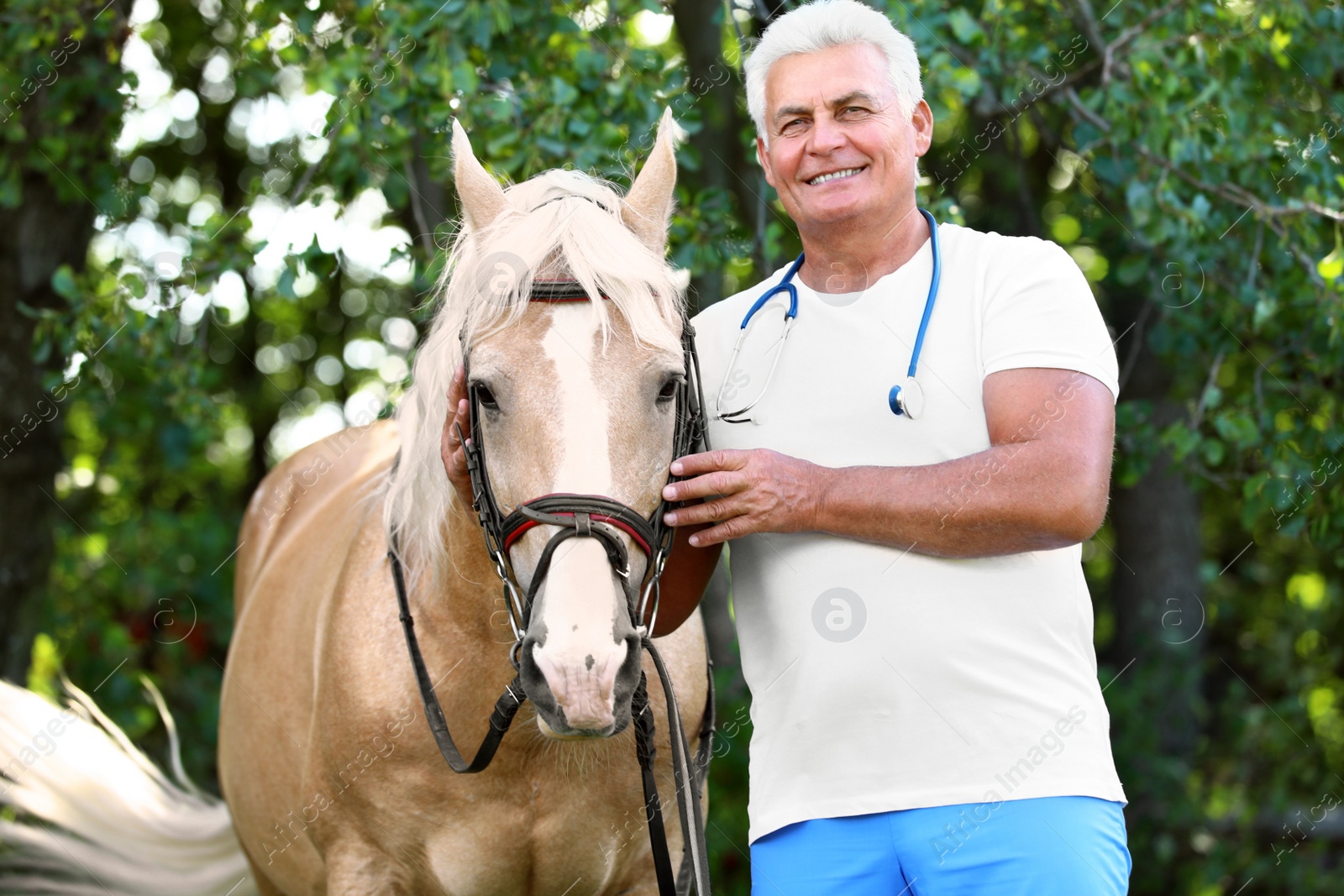 Photo of Senior veterinarian with palomino horse outdoors on sunny day