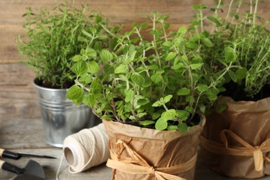 Different aromatic potted herbs on table, closeup