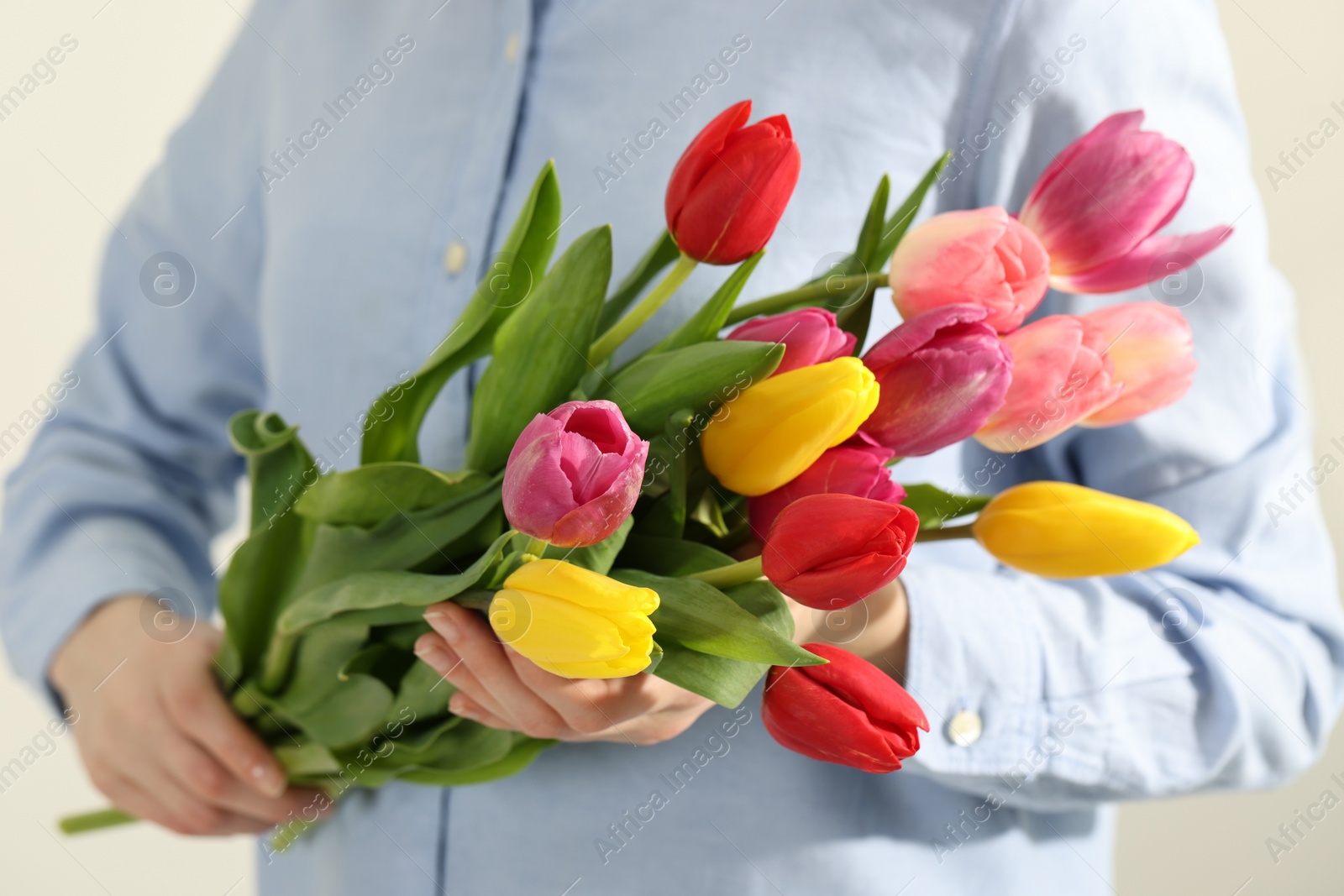 Photo of Woman holding beautiful colorful tulip flowers on white background, closeup