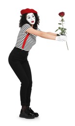 Funny mime with red rose posing on white background