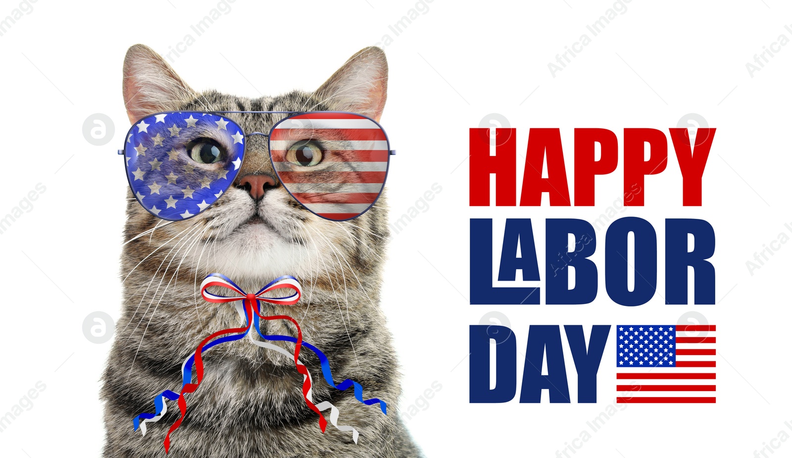 Image of Happy Labor Day. Cute cat with sunglasses and bow in colors of American flag on white background