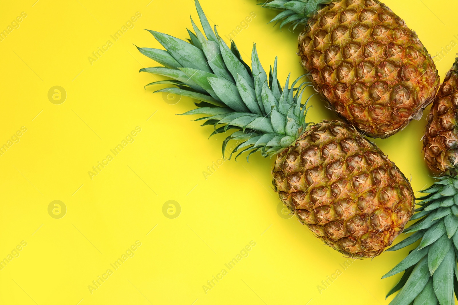 Photo of Whole ripe pineapples on yellow background, flat lay. Space for text