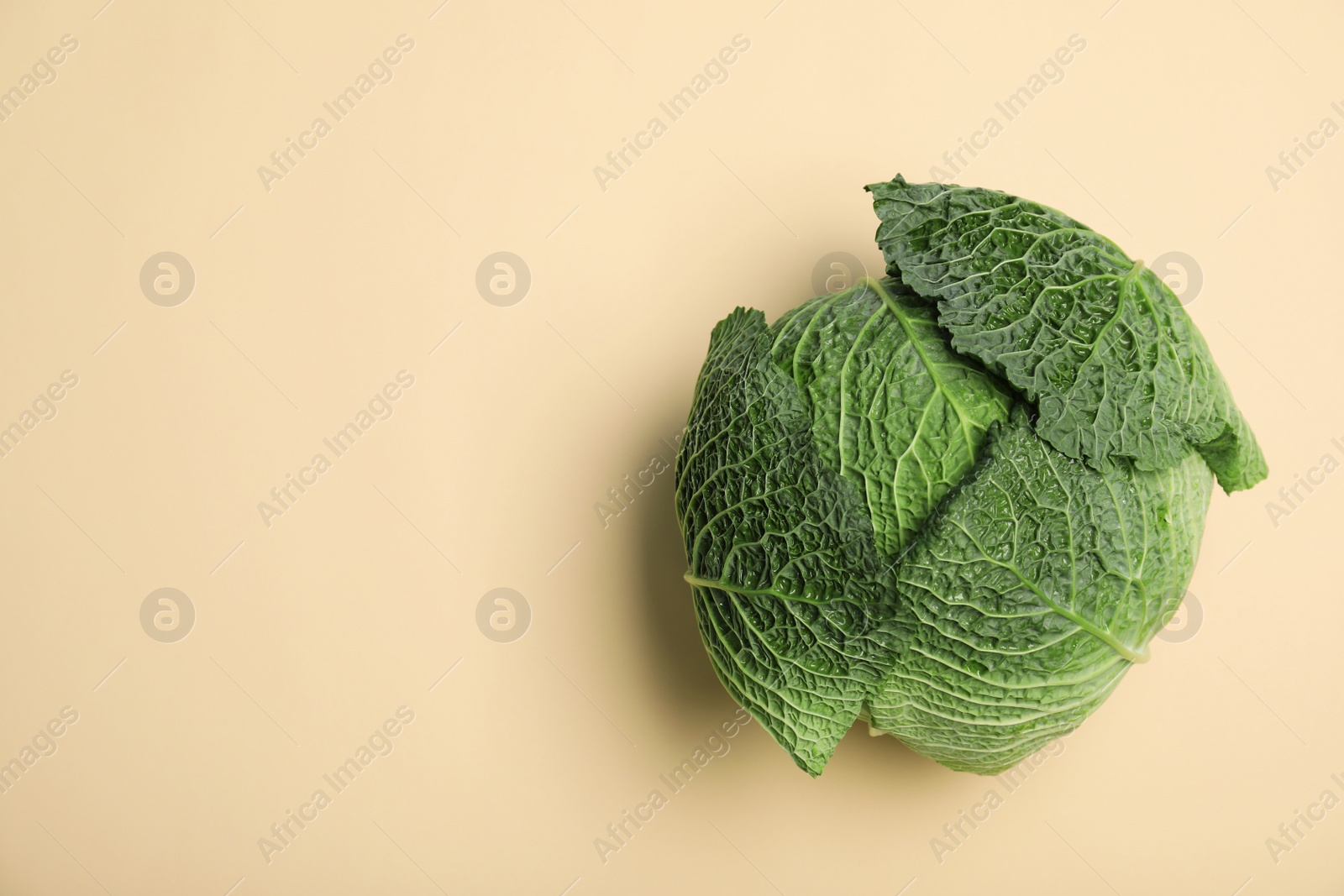 Photo of Fresh green savoy cabbage and space for text on color background, top view