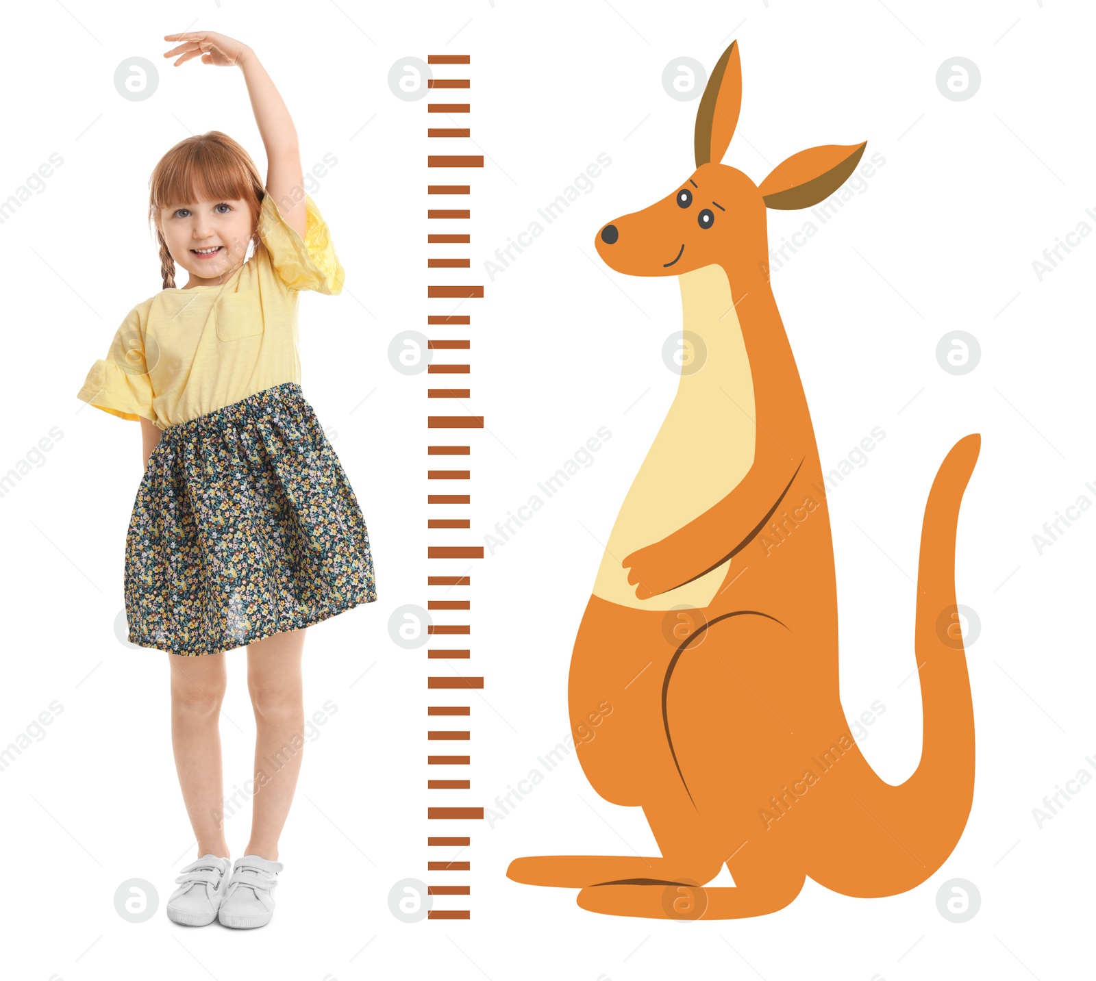 Image of Little girl measuring height and drawing of kangaroo on white background