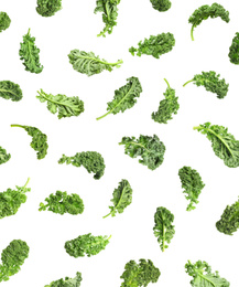 Image of Set of fresh green kale leaves on white background